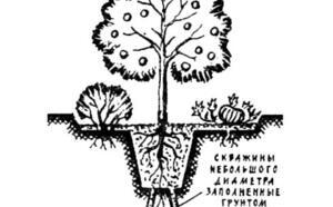 Водоснабжение садовых участков фото