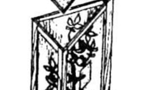 Ловушка для белокрылки фото