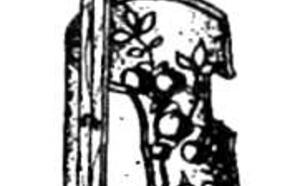 Ловушка для белокрылки фото