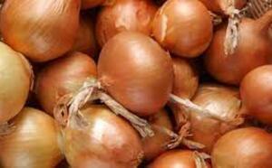 "Луковые" советы фото