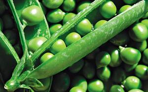 Урожай: соберем и сохраним фото