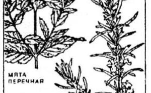 Природная косметика фото