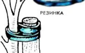 Советы мастеру - На садовом участке (11-20) фото