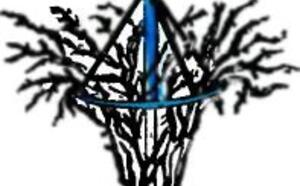 Советы мастеру - На садовом участке (11-20) фото