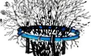 Советы мастеру - На садовом участке (11-20) фото