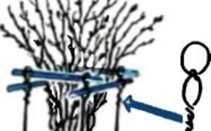 Советы мастеру - На садовом участке (11-20) фото