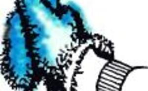 Советы мастеру - На садовом участке (11-20) фото