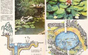 ВОДОЕМ ВОЗЛЕ ДОМА и ЦВЕТЫ Возле водоема фото