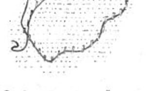 ВОДОЕМ ВОЗЛЕ ДОМА и ЦВЕТЫ Возле водоема фото