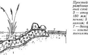 ВОДОЕМ ВОЗЛЕ ДОМА и ЦВЕТЫ Возле водоема фото