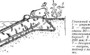 ВОДОЕМ ВОЗЛЕ ДОМА и ЦВЕТЫ Возле водоема фото