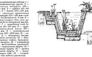 ВОДОЕМ ВОЗЛЕ ДОМА и ЦВЕТЫ Возле водоема фото