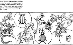 Вода вместо ядов фото