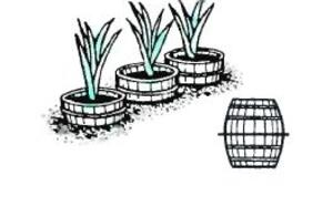 Советы мастеру - На садовом участке (21-30) фото