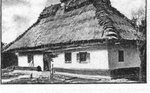 Кровля из саломы фото