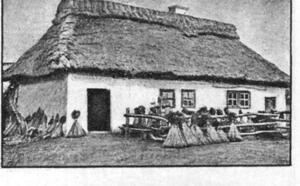 Кровля из саломы фото