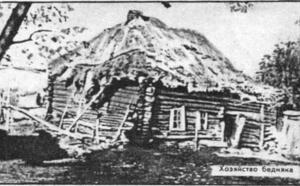 Кровля из саломы фото