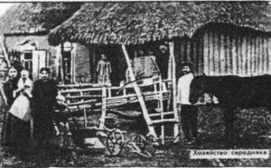 Кровля из саломы фото