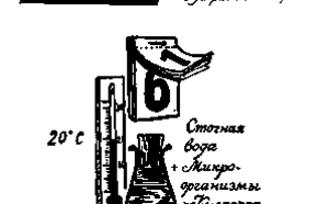 Что такое сточные воды? фото