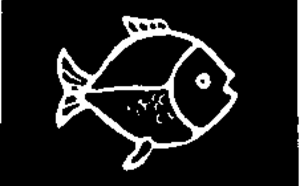 Круговорот воды в природе и охрана водоемов фото