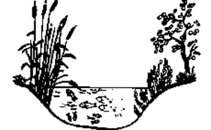 Круговорот воды в природе и охрана водоемов фото