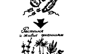 Круговорот воды в природе и охрана водоемов фото