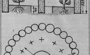 Утепление грядок фото