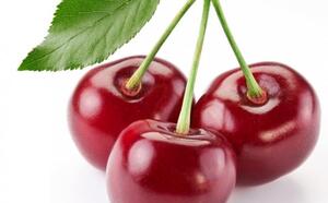 Вишня обильно цвела, но плодов нет. Почему? фото