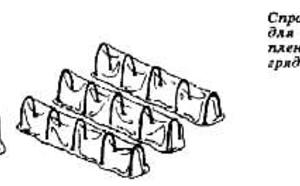 Овощи без нитратов по технологии Миттлайдера фото