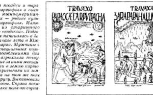 Картофель с одной сотки фото