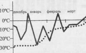«Укрывной» виноград: «за» и «против» фото