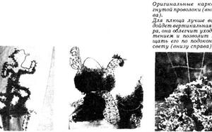 Вьющиеся растения на проволоке фото