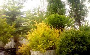 Жлобинский кирмаш 2012 фото