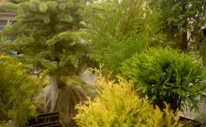 Жлобинский кирмаш 2012 фото