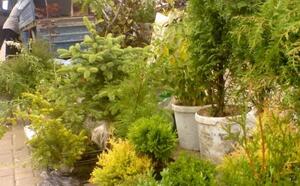 Жлобинский кирмаш 2012 фото