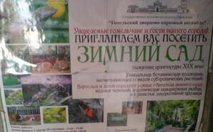 Зимний сад (г.Гомель) фото