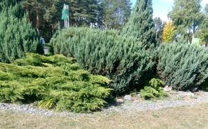 Проект 1 фото