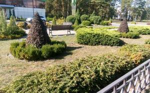 Проект 1 фото