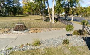 Проект 1 фото