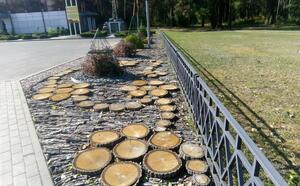 Проект 1 фото