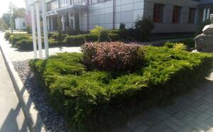 Проект 1 фото