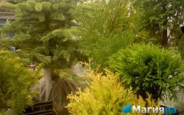 Жлобинский кирмаш 2012 фото