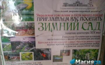Зимний сад (г.Гомель) фото