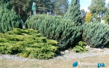 Проект 1 фото