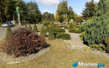 Проект 1 фото