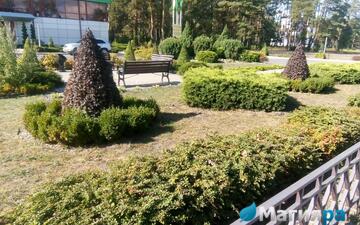 Проект 1 фото