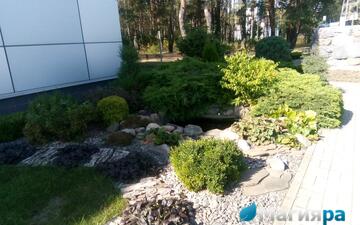 Проект 1 фото