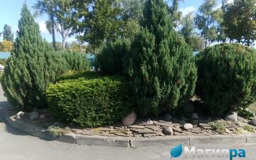 Проект 1 фото