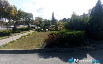 Проект 1 фото