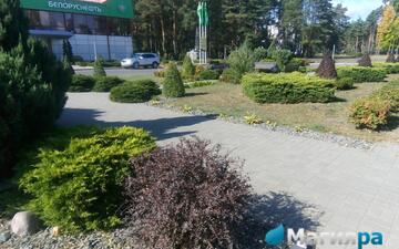 Проект 1 фото